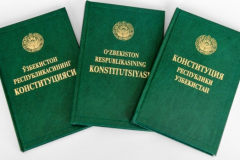 Konstitutsiyaviy huquqlar